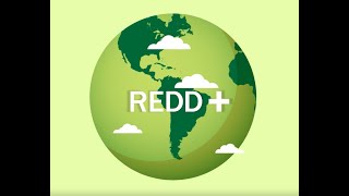 Get REDDY: Climate Change and REDD+: Ep 1 - The Video Series