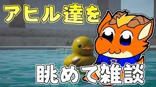 【雑談】アヒルのおもちゃを眺めながらお喋りするよ～！！【ケモノVtuber】
