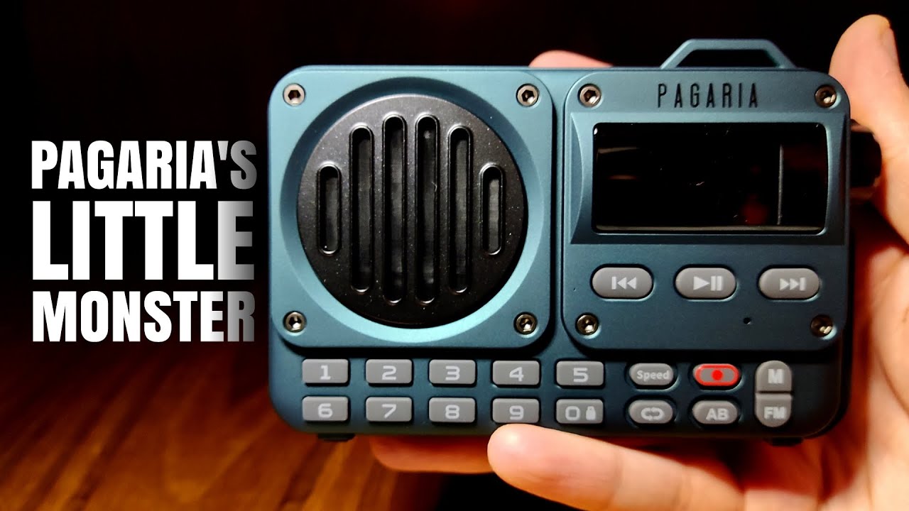 Pagaria Grenade | FM Bluetooth Speaker
