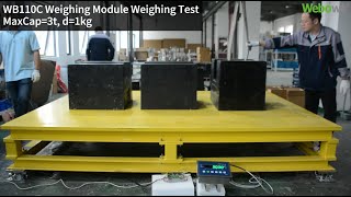 WEBOWT WB110C Weighing Module - Weighing Test - 3000kg/1kg