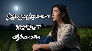 Download Lagu ខ្ញុំស្រឡាញ់អ្នកពេក ( 我太爱你了 ) ច្រៀងភាសាចិន MP3