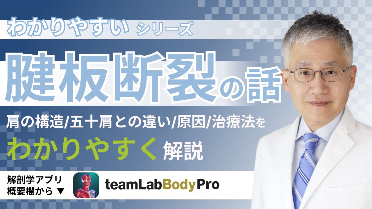 腱板断裂の話【医師によるわかりやすい解説】