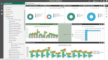 Sage Enterprise Intelligence Version 8 - Dashboarding