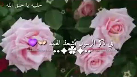 صلو عليه شفيع الأمة قمر سيدنا النبي نشيد رائع 360P صلو عليه شفيع الأمة قمر سيدنا النبي نشيد رائع 360P