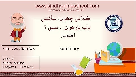 Sound-Chapter Review| Science Class 6| Chapter 11| Lecture 5| by Nana Abid| Sindh Online School