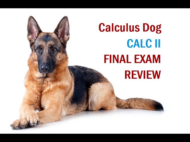 5. Calculus II Final Exam Review S12