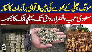 Peanut Husk Export | Attock Agriculture | Livestock Feed | Organic Fertilizer - Pakistan news