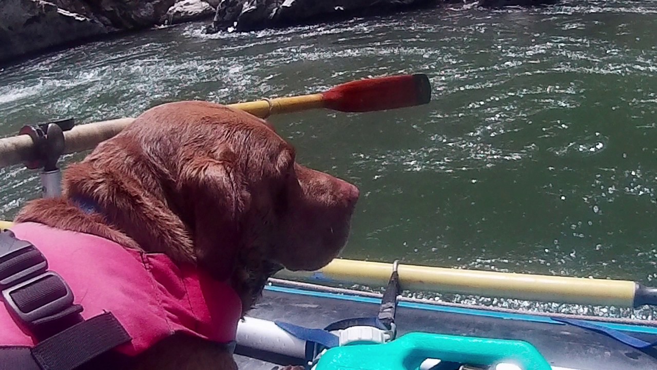 Rogue Art, June 2017