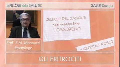 Cosa vuol dire avere gli eritrociti bassi?