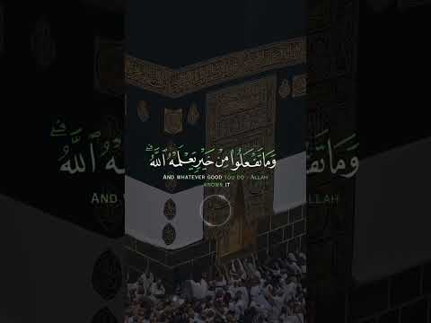 سورة البقرة منصور السالمي
