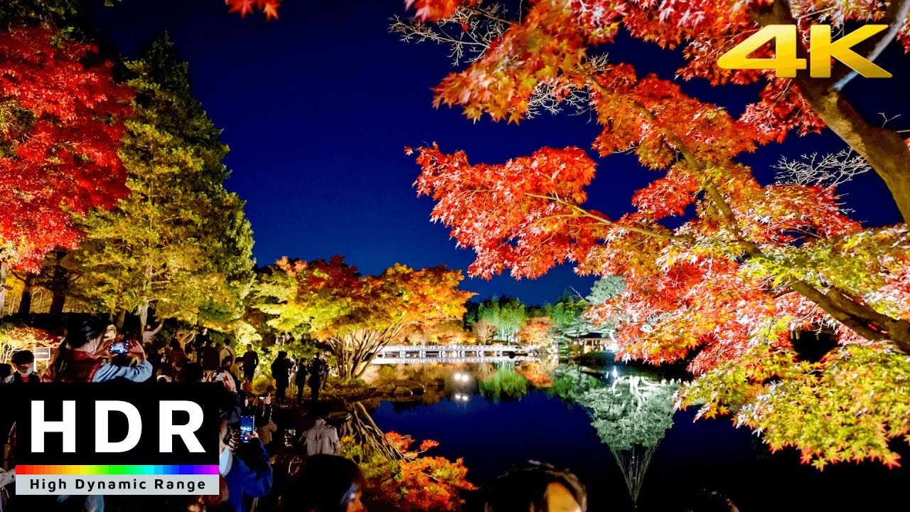 ⁣【4K HDR】Japanese Garden Autumn Illumination - Showa Kinen Park