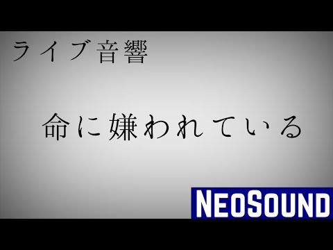 【ライブ音響】命に嫌われている/まふまふ
