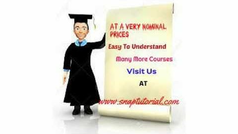 QNT 351 Best Tutorials|snaptutorial.com