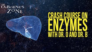 Crash Course on Enzymes with Dr. O and Dr. B!  Dr. Osborne's Zone