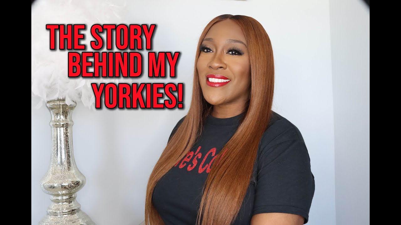 The Story Behind My Yorkies!