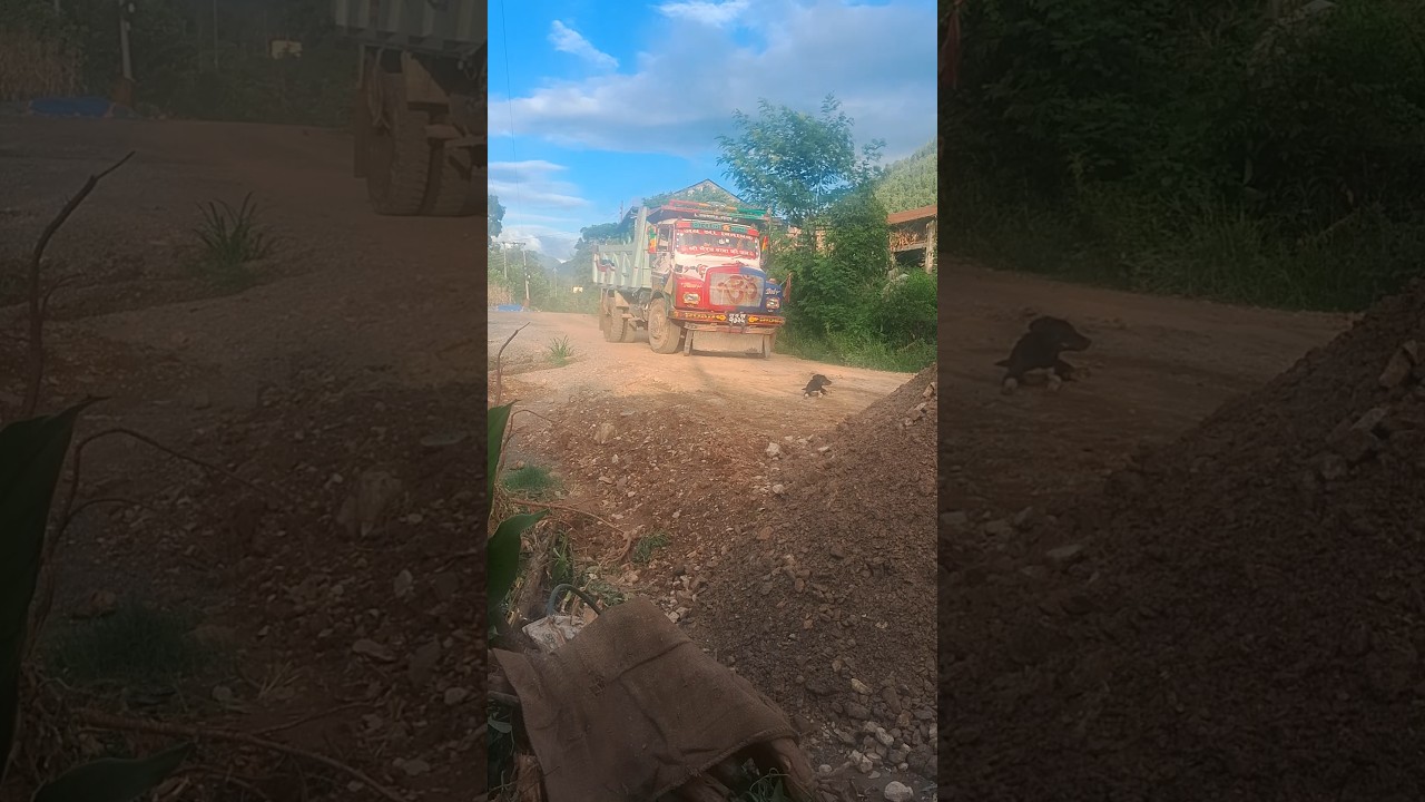 NEPALI TIPPER || ALAMDEVI MODS || PLZ SUPPORT 🥹❣️