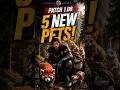 Patch 1.08 Added 5 NEW INSANE PETS You NEED To Get! #viralshrotvideo #crimsondesert #shortsvideo