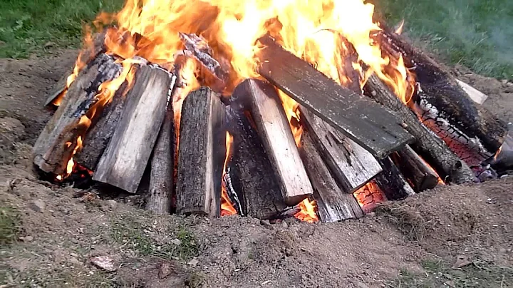 How to Burn a Large Tree Stump the Easy Way ( How ...