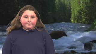 Stream Ecosystems