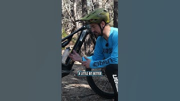 Active Spiders! 🕷️⚙️