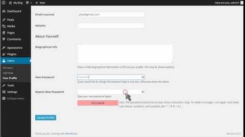 How to change your password in WordPress