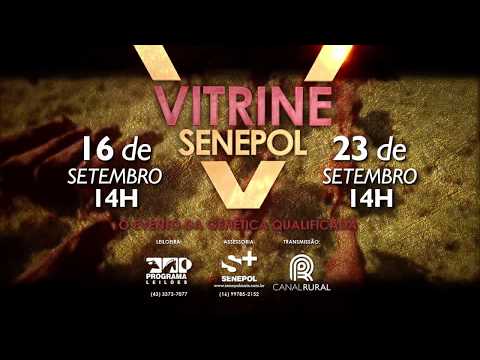 Chamada Vitrine Senepol 2017
