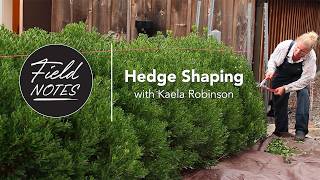 The Secret to a Perfect Hedge Shape | First Pruning Explained