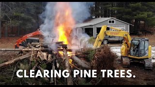 Removing pines and burning wood with the Kobelco sk140