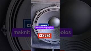 compare speaker ACR fabulous 18in #loudspeaker #diy #tutorial #sound #audio