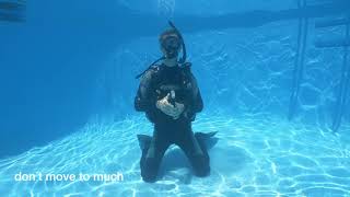 Celebrity 17 Remove and replace weight system underwater Profile