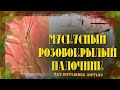 Розовокрылый палочник | Мускусный палочник Мой ОпыТ |Мадагасаарский палочник| sipyloidea sipyloidea