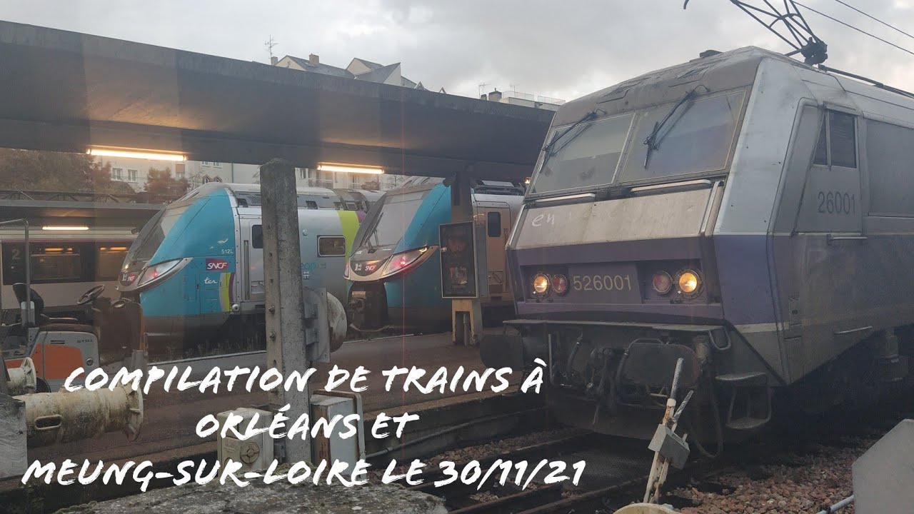 Compilation de trains à Orléans et Meung-sur-Loire le 30/11/21
