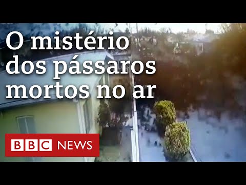 Vídeo: Habilidade operacional e tática da milícia do sudeste da Ucrânia. O fim