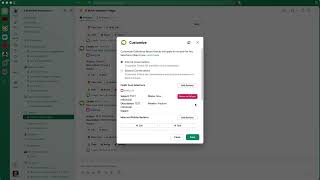 Display Options for the Centro Record Block in Slack