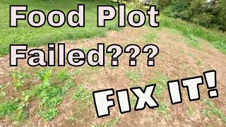 Food Plot Failed; How to Fix It!