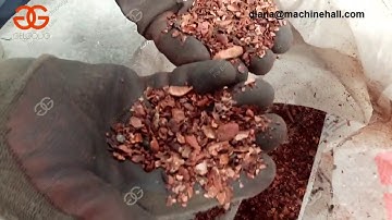 Cocoa Bean Peeling Machine|Cocoa Bean Skin Removing Machine
