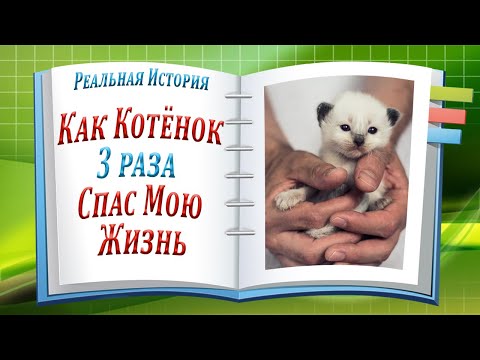 Как Котёнок 3 раза Спас Мою Жизнь?! Реальная История