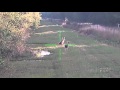 ATN X-Sight: Two Deer in the Clearing (Actual Footage)