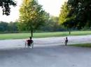 Bike Tests