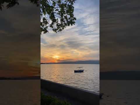 هاني شاكر كان وعد نتقابل