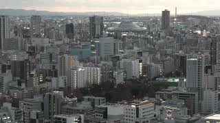 アーロン・アゲイン（ピーター・ネロ）