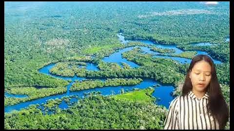 GEC 3: The Contemporary World Module 6 | Lydelyn Baranggot