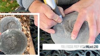 Fossil Prepping a Yorkshire Coast ammonite with just a Dremel 290 & Rotary Tool - Fossils Prep
