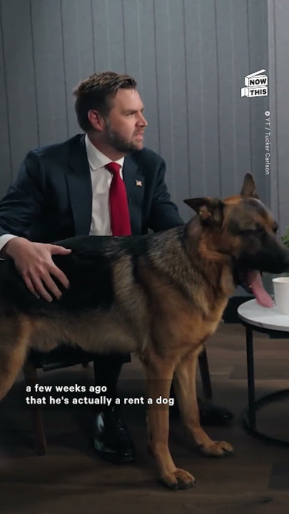 Tucker Carlson in Interview With JD Vance: 'You're Weird'
