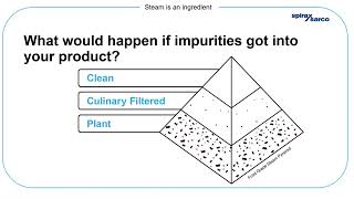 Food Safety 101 How To Avoid Food & Beverage Contamination Risk (steam is a food ingredient)