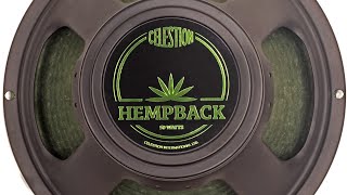 Hempback vs Vintage 30 vs EVH Shootout!