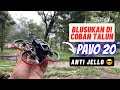 Blusukan di coban talun pakai drone kecil 4k  beta fpv pavo 20