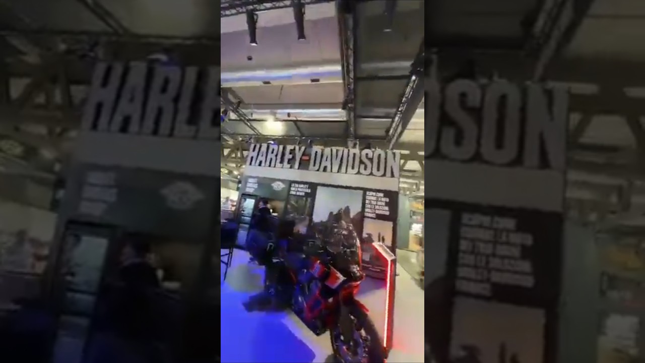 Harley Davidson Fest! | Racing Legends & Music Vibes 🇮🇹