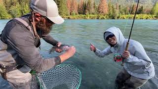 Fishing Kenai River Alaska for Rainbow and Dolly Trouts
