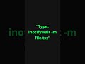 Linux: Watch file changes with inotifywait (Real-time monitor)